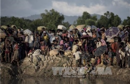 Bangladesh và Myanmar phối hợp với UNHCR hồi hương người Rohingya 